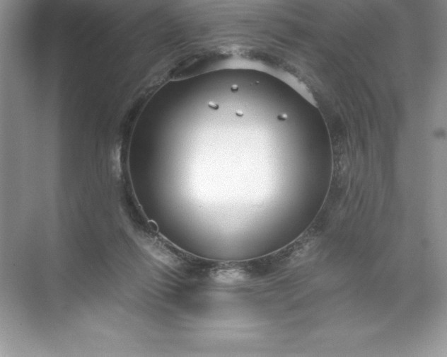 X0000071950262200607212234