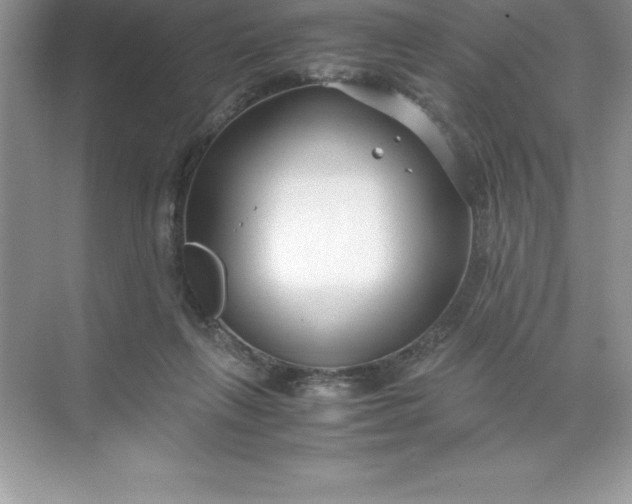 X0000071950263200607212234