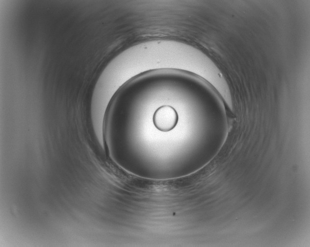 X0000071950264200607212234