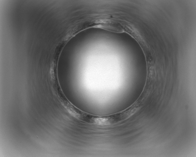 X0000071950265200607212234