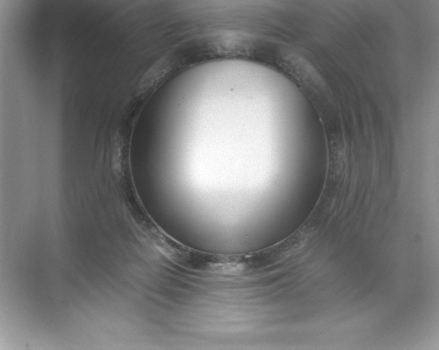 X0000071950266200607212234