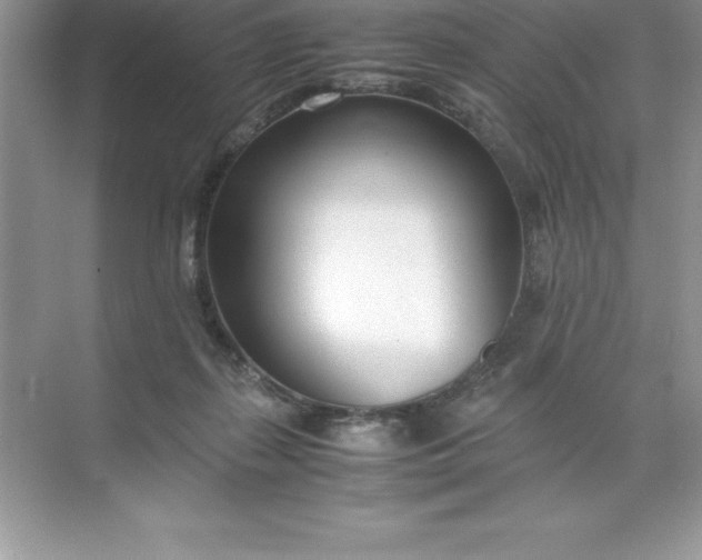 X0000071950267200607212234