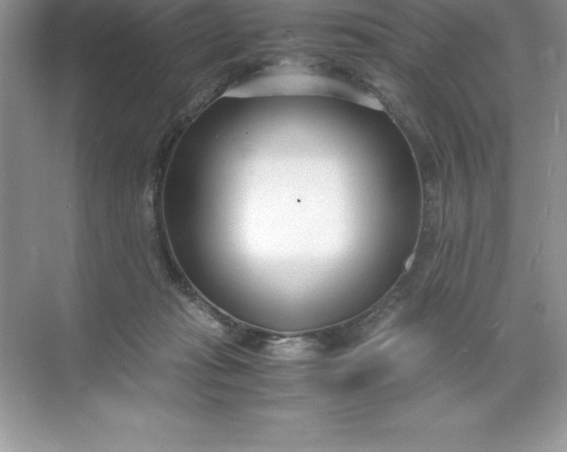 X0000071950269200607212234