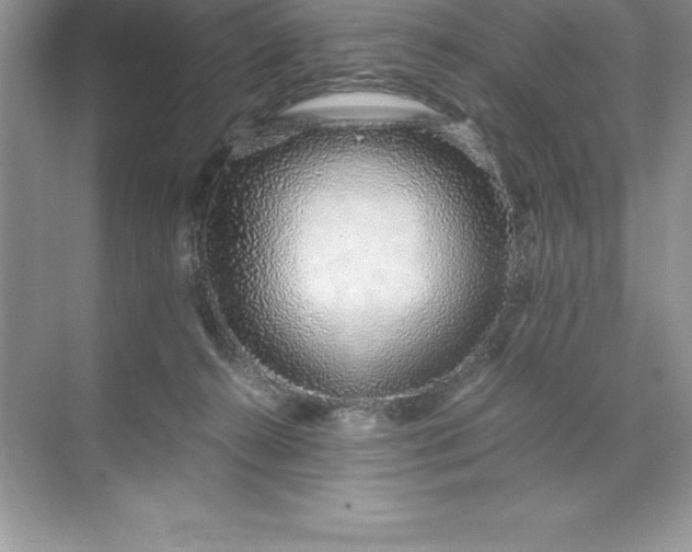 X0000071950272200607212234