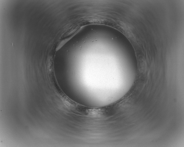 X0000071950273200607212234