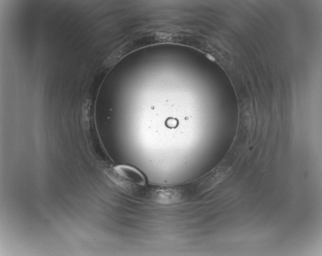 X0000071950275200607212234