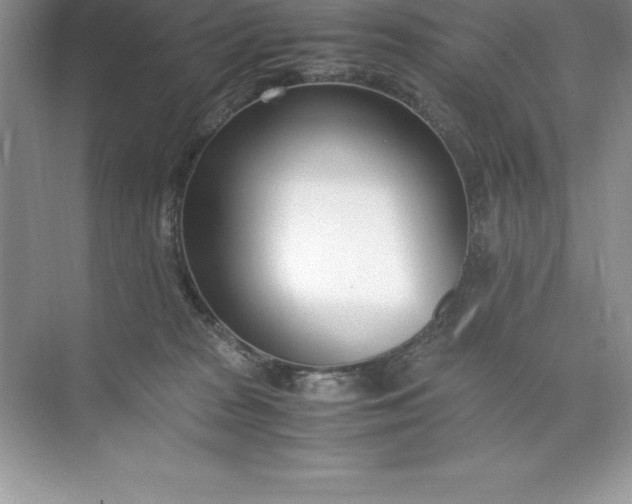 X0000071950277200607212234