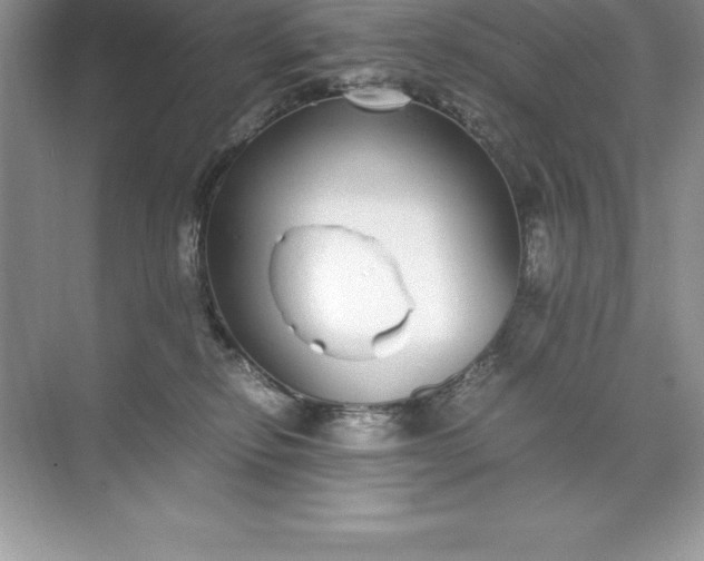 X0000071950278200607212234