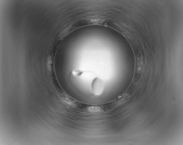 X0000071950279200607212234