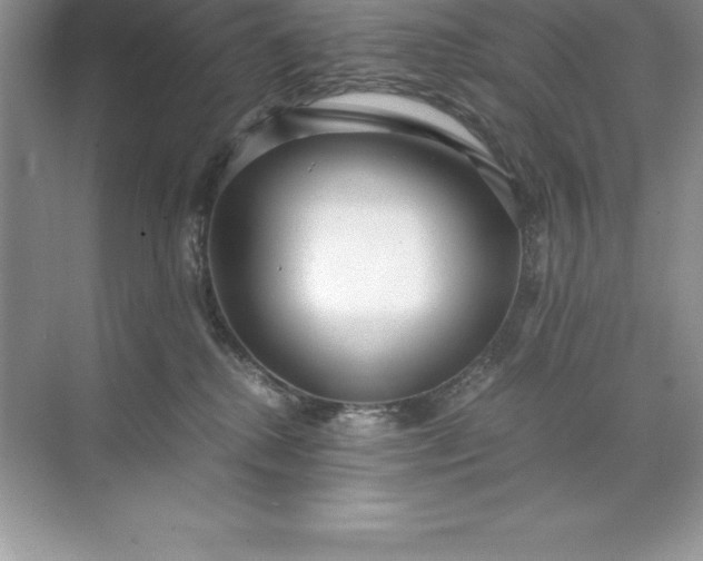 X0000071950280200607212234