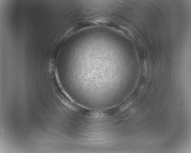 X0000071950284200607212234