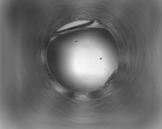 X0000071950285200607212234