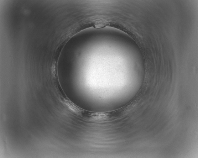 X0000071950288200607212234