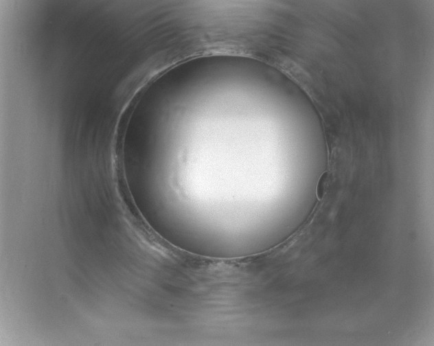 X0000071950290200607212234