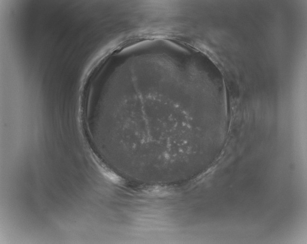 X0000071950293200607212233