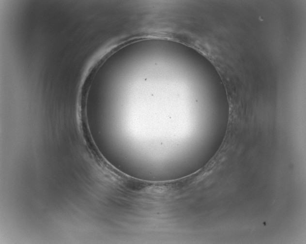 X0000071950294200607212233