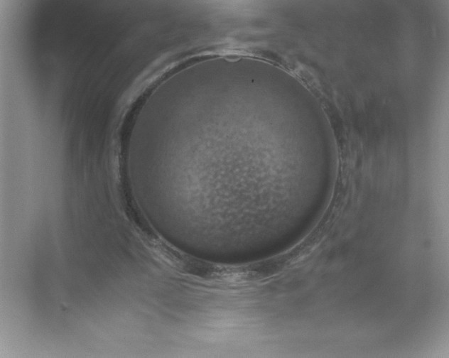 X0000071950295200607212233