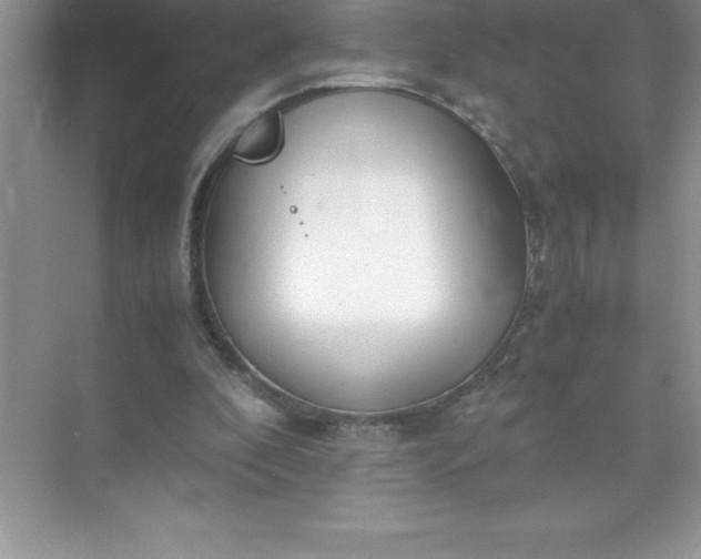 X0000071950296200607212233