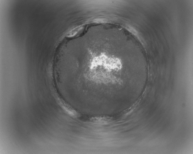 X0000071950297200607212233