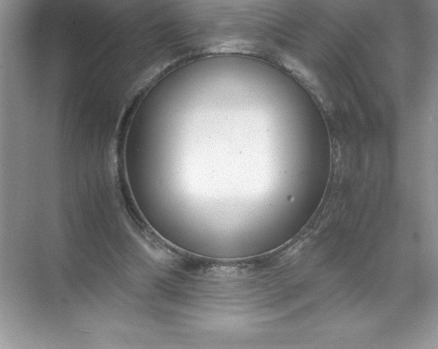 X0000071950298200607212233