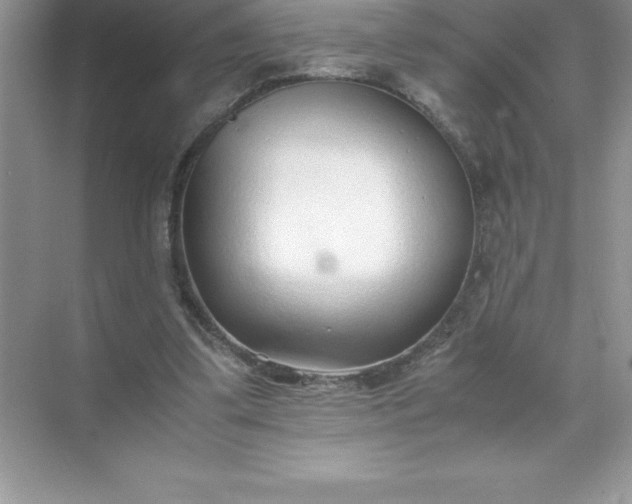 X0000071950299200607212233