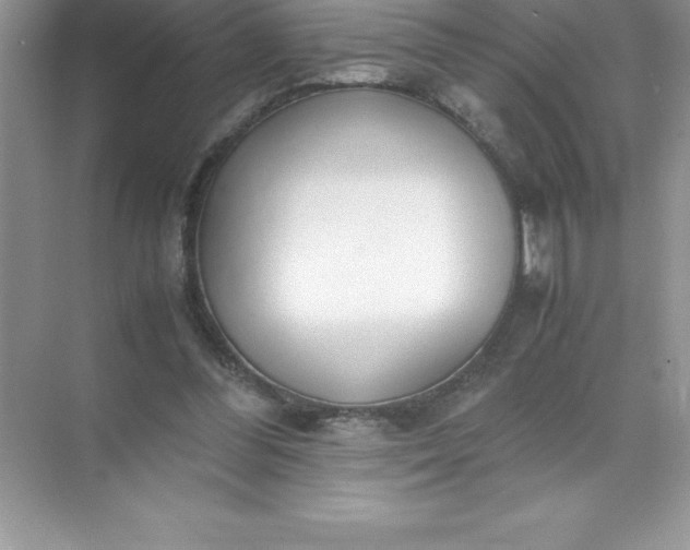 X0000071950300200607212233