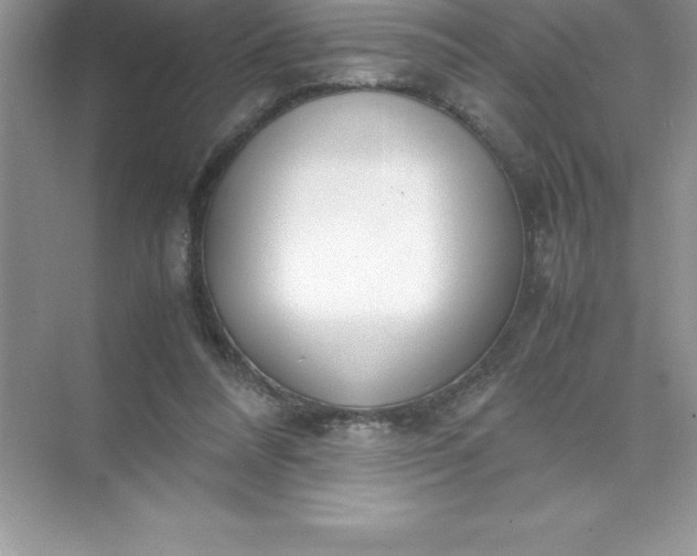 X0000071950304200607212233