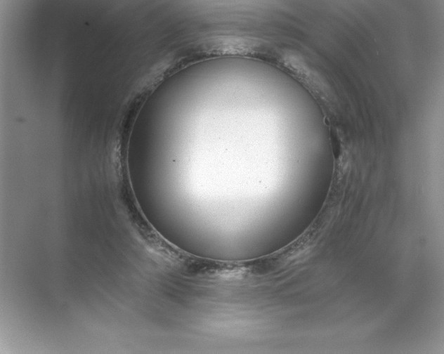 X0000071950306200607212233