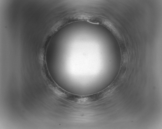 X0000071950309200607212233