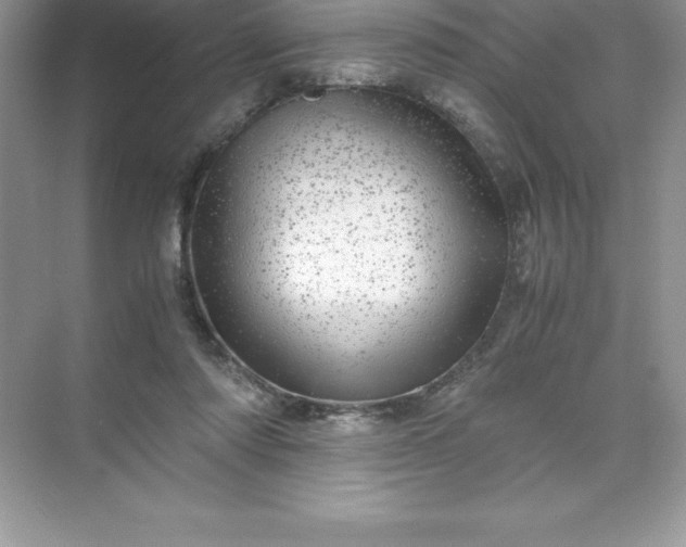 X0000071950310200607212233