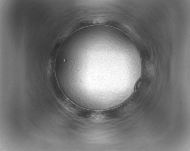 X0000071950311200607212233