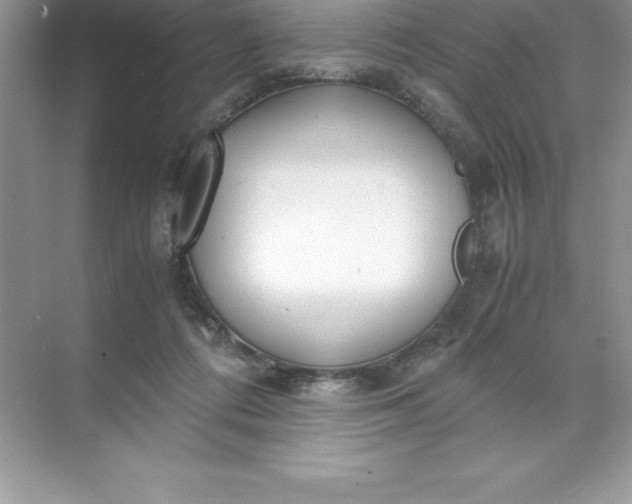 X0000071950312200607212233