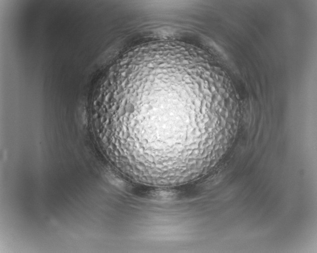 X0000071950313200607212233