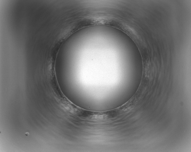 X0000071950314200607212233