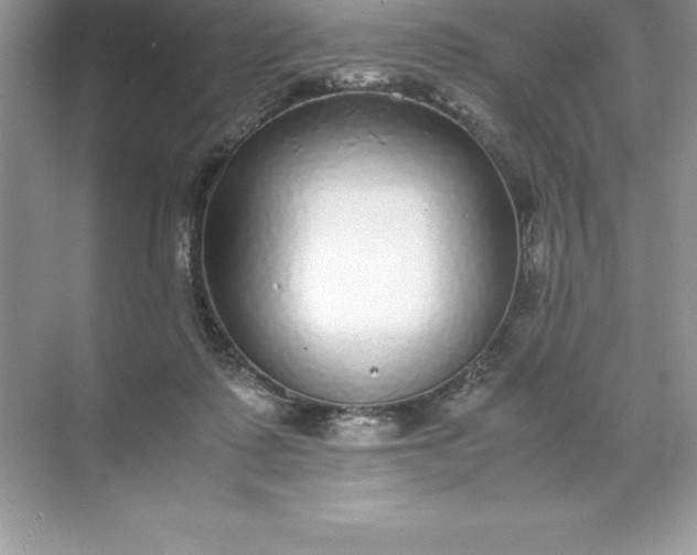 X0000071950315200607212233