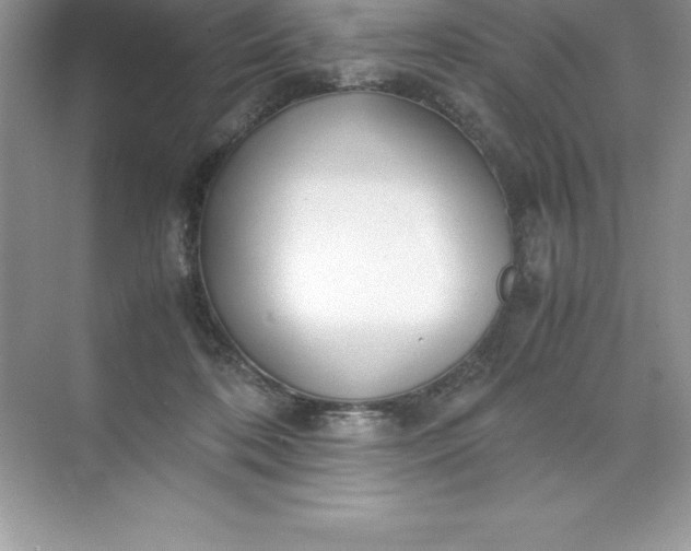 X0000071950316200607212233