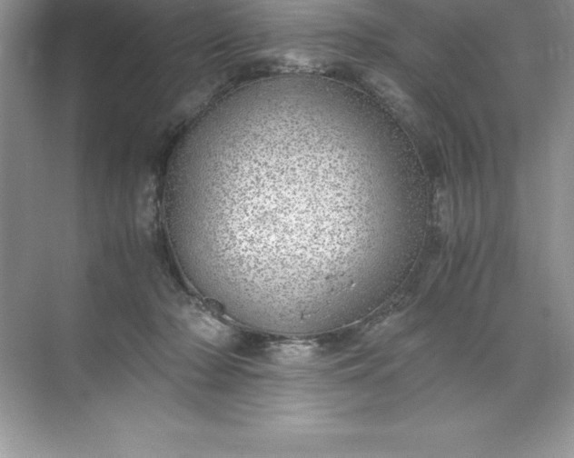 X0000071950318200607212233