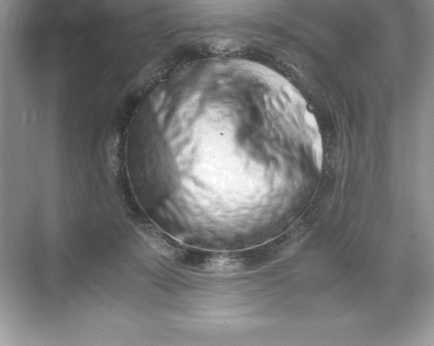 X0000071950319200607212233