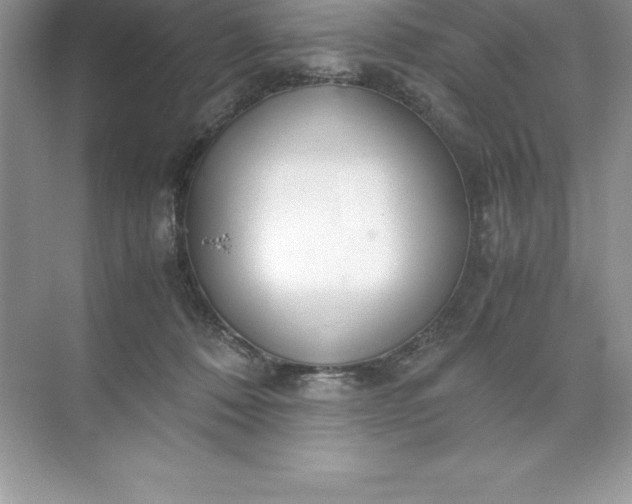 X0000071950320200607212233