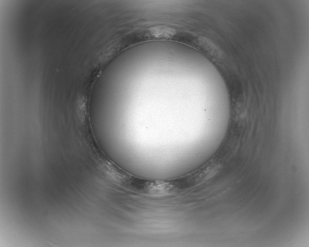 X0000071950321200607212233