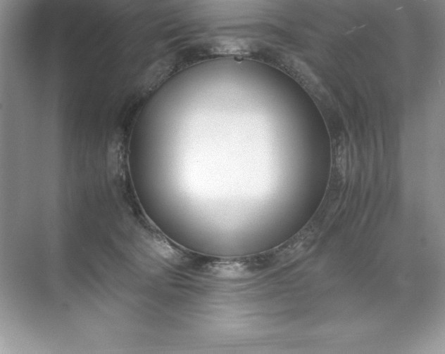 X0000071950322200607212233