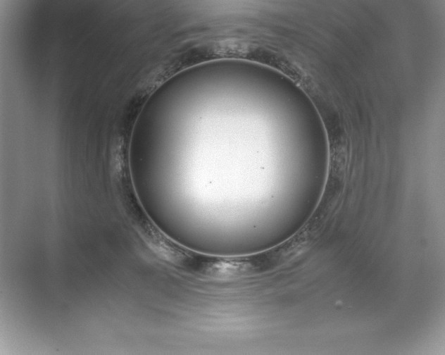 X0000071950323200607212233