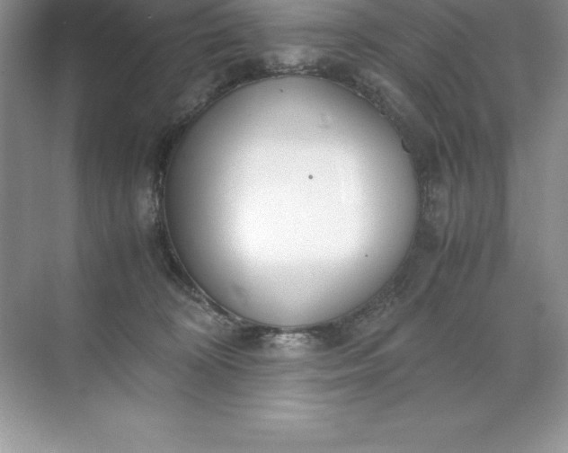 X0000071950324200607212233