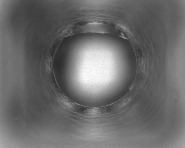 X0000071950325200607212233