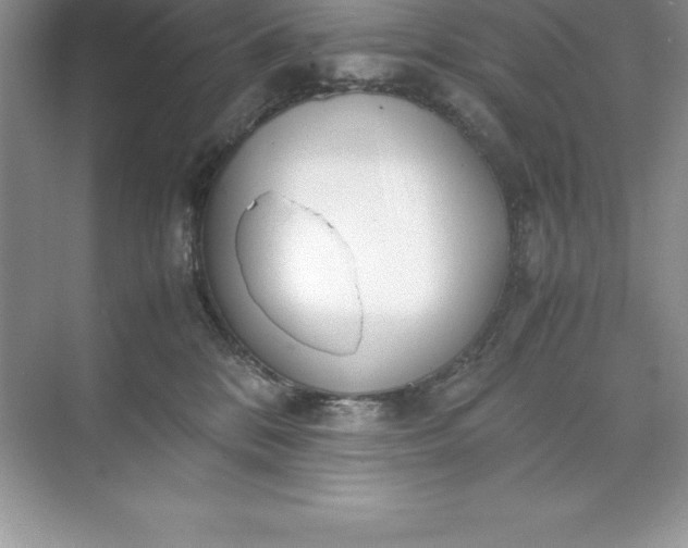 X0000071950328200607212233