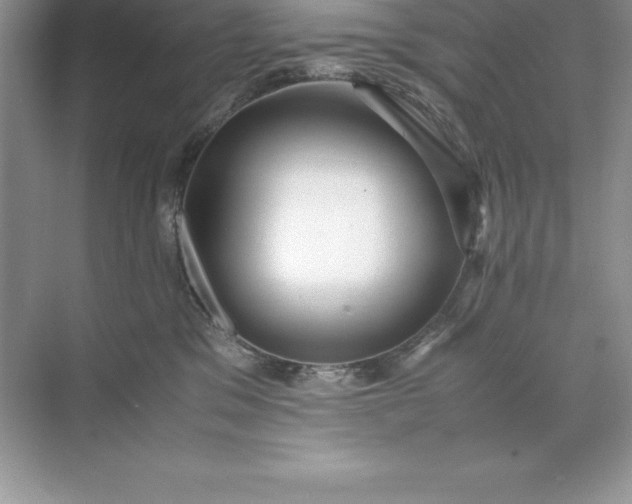 X0000071950329200607212233