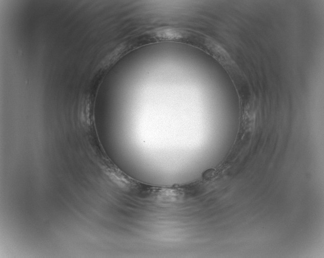 X0000071950330200607212233