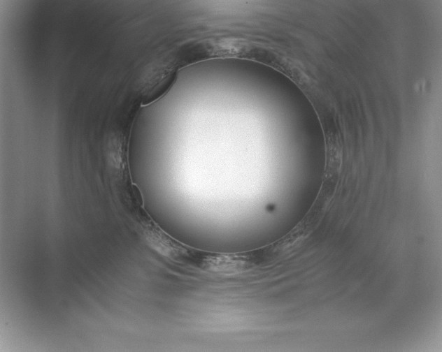 X0000071950331200607212233