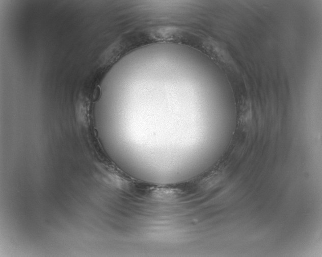 X0000071950332200607212233