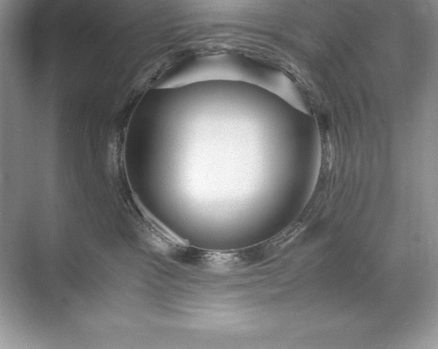 X0000071950333200607212233